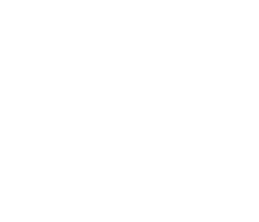 Loreflow logo